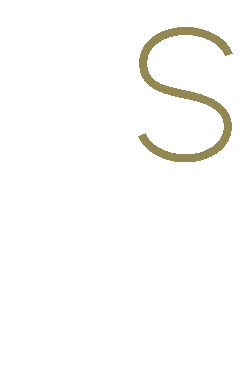 Xavier Saiz Logo